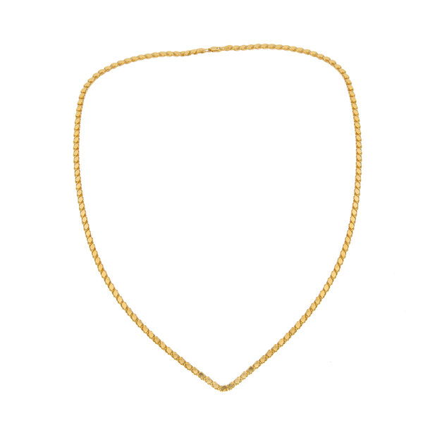 Altın Pullu Zincir 14ZNR971 - Altınaşkı