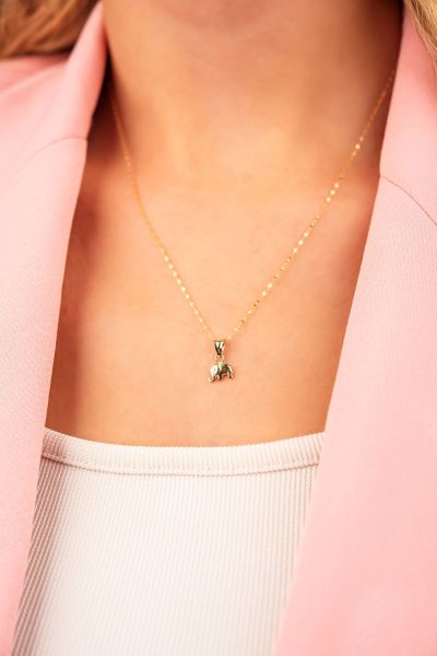 Aynalı Zincirli Fil Altın Kolye 14KLY3080 - Altınaşkı