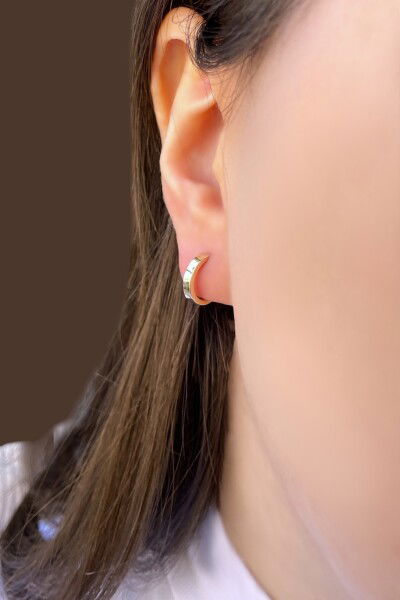 Gizli Kilit Kıkırdak Altın Küpe 8KP392 - Altınaşkı