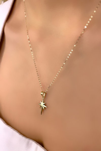 Halka Zincirli Kuzey Yıldızı Altın Kolye 14KLY8542 - Altınaşkı