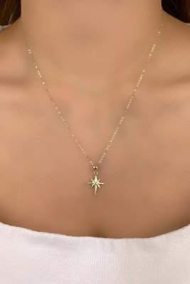 Halka Zincirli Kuzey Yıldızı Altın Kolye 14KLY8542 - 2