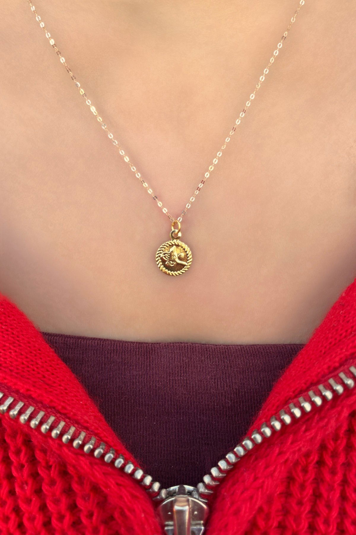 Halka Zincirli Mini Tuğra Altın Kolye 14KLY782 - 2