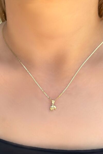 Parlak Zincirli Fil Altın Kolye 14KLY4090 - Altınaşkı