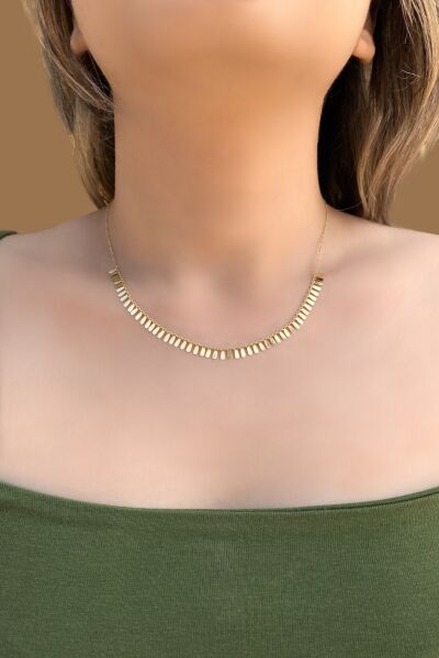 Plaka Pullu Altın Kolye 14KLY8255 - Altınaşkı