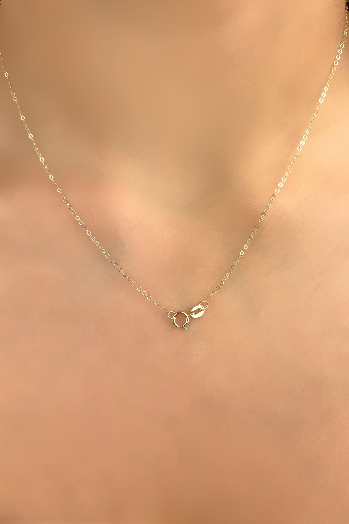 Toplu Ataş Altın Kolye 14KLY4660 - 2