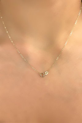 Toplu Ataş Altın Kolye 14KLY4660 - 2