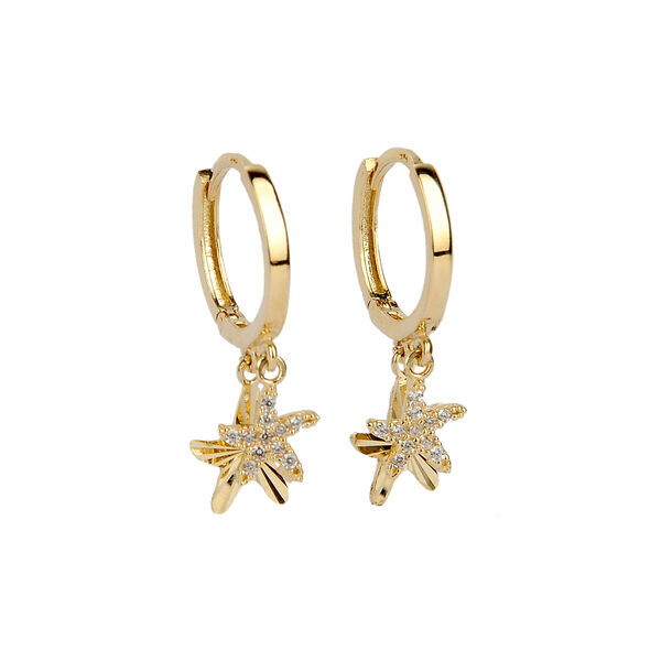 Yıldız Pullu Altın Küpe 14KP1803 - Altınaşkı